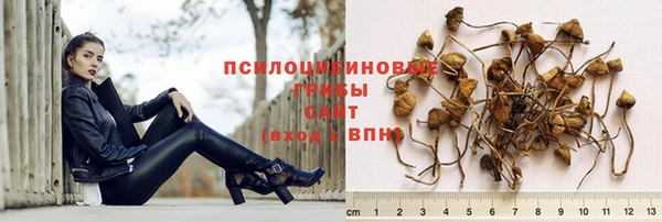 тгк Покачи