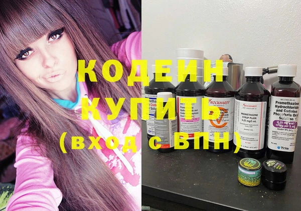молекула духа Арсеньев