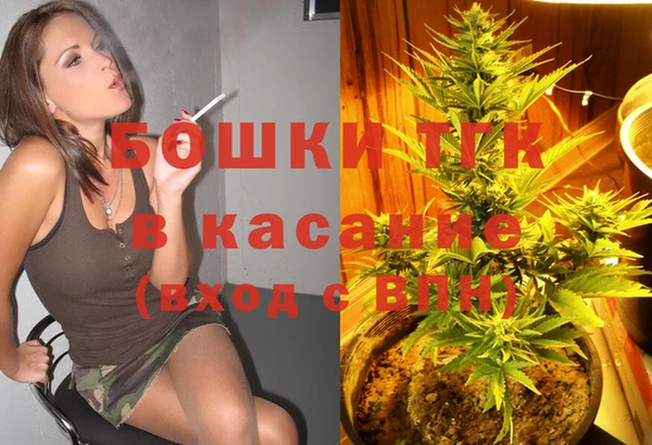 молекула духа Арсеньев