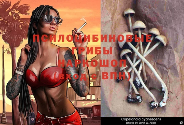 молекула духа Арсеньев