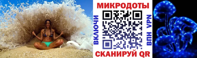 kraken зеркало  купить закладку  Краснодар  Галлюциногенные грибы Magic Shrooms 